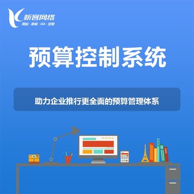 精细化费控系统开发ERP系统定制费用控制软件制作-析客网络