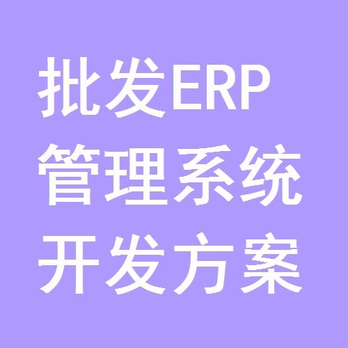 批发erp管理系统开发方案